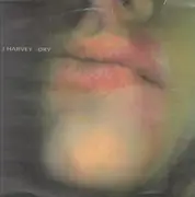 LP - PJ Harvey - Dry