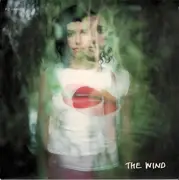 7inch Vinyl Single - PJ Harvey - The Wind