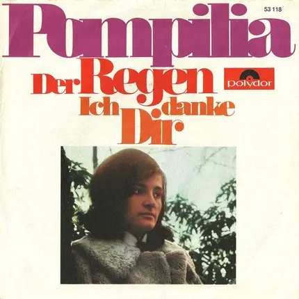 Pompilia Stoian - Der Regen