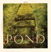 Pond - Moth