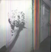 Pond - Hobo Rocket