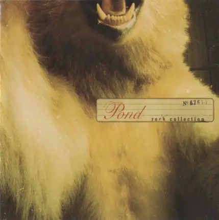 Pond - Rock Collection