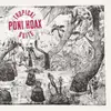 Double LP - Poni Hoax - Tropical Suite