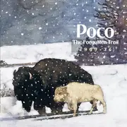 Double CD - Poco - The Forgotten Trail (1969-74)