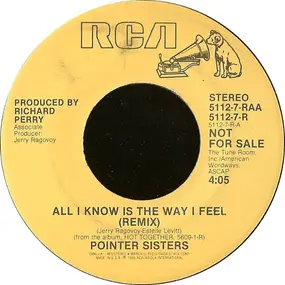 The Pointer Sisters - All I Know Is The Way I Feel