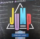12'' - Pointer Sisters - Jump (For My Love)
