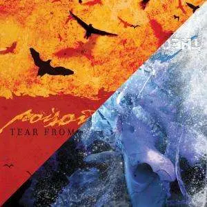 POISON THE WELL - OPPOSITE OF DECEMBER/TEAR FROM THE
