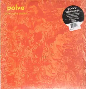 Polvo - Today's Active Lifestyles