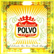 Polvo - Celebrate The New Dark Age