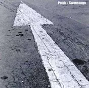 Polak - Swansongs