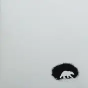 Polar Bear - Black And White