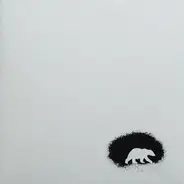Polar Bear - Black And White