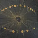 12inch Vinyl Single - Polar Bear With Jyager - Common Ground - Still sealed