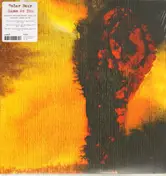 Polar Bear - Same AS You