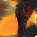 CD - Polar Bear - Same As You - Digisleeve