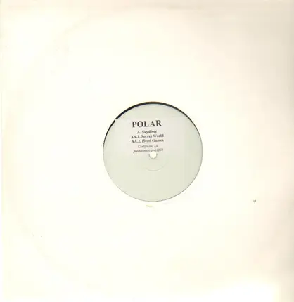 Polar - Skydiver