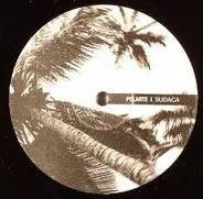 Polarte - Sudaca