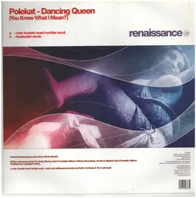 Polekat - Dancing Queen (You Know What I Mean?)