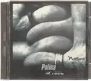 CD - Polina - Pullsanti