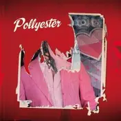 Pollyester - Concierge d'Amour/Voices Remixes