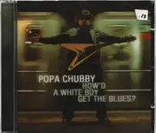 Popa Chubby - How'd a White Boy Get the Blues?