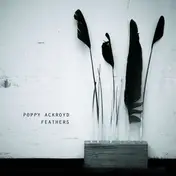 POPPY ACKROYD - Feathers