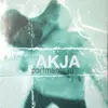 LP - Portmanteau - Akja