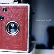 CD - Portrait Of David - These Days Are Hard To Ignore