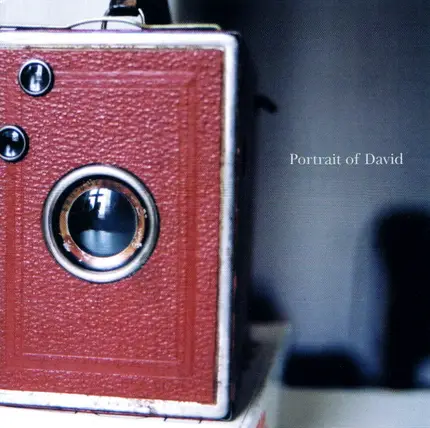 Portrait Of David - These Days Are Hard to Ignore