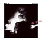 porcelain raft - Permanent Signal