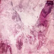 CD - Porcelain Raft - Strange Weekend