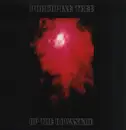 LP - Porcupine Tree - Up The Downstair - Original press
