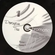 2x 10'' - Porcupine Tree - Metanoia - Limited Edition
