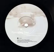 7inch Vinyl Single - Porcupine Tree - Shesmovedon - Numbered/ Ltd ed