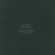 12inch Vinyl Single - Positive Centre - An Assembly