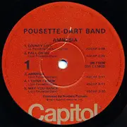 LP - Pousette-Dart Band - Amnesia - Winchester Pressing