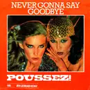 7inch Vinyl Single - Poussez! - Never Gonna Say Goodbye (1986 Ben Liebrand Remix)