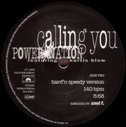 12inch Vinyl Single - Power Nation - Calling You