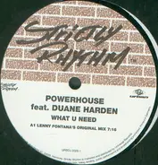 Powerhouse feat. Duane Harden - What U Need