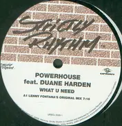 Powerhouse feat. Duane Harden - What U Need