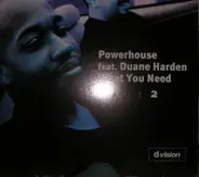 Powerhouse Featuring Duane Harden - What You Need (Part 2)