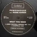 12inch Vinyl Single - Powerhouse Featuring Duane Harden - What You Need (Part 2) - Promo - Black Labels