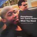 12inch Vinyl Single - Powerhouse - What You Need