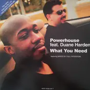 Powerhouse - What You Need