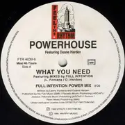 12inch Vinyl Single - Powerhouse - What You Need