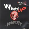 12'' - Playa Poncho Featuring L.A. Sno - Whatz Up Whatz Up