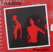 Playground - Sleeping Dogs