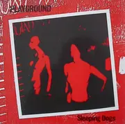 12'' - Playground - Sleeping Dogs