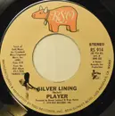 7inch Vinyl Single - Player - Silver Lining