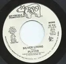 7inch Vinyl Single - Player - Silver Lining